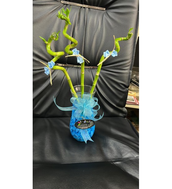 60 cm bambu arajman